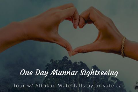 One Day Munnar Local Sightseeing Trip with Attukad Waterfalls by Cab