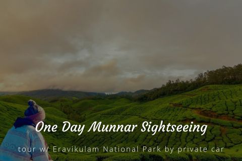 One Day Munnar Local Sightseeing Trip with Eravikulam National Park by Cab