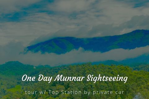 One Day Munnar Local Sightseeing Trip with Top Station by Cab