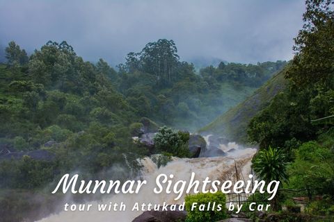 One Day Munnar Local Sightseeing Trip with Attukad Waterfalls by Cab