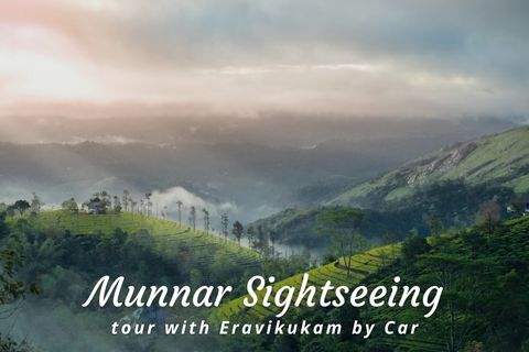 One Day Munnar Local Sightseeing Trip with Eravikulam National Park by Cab