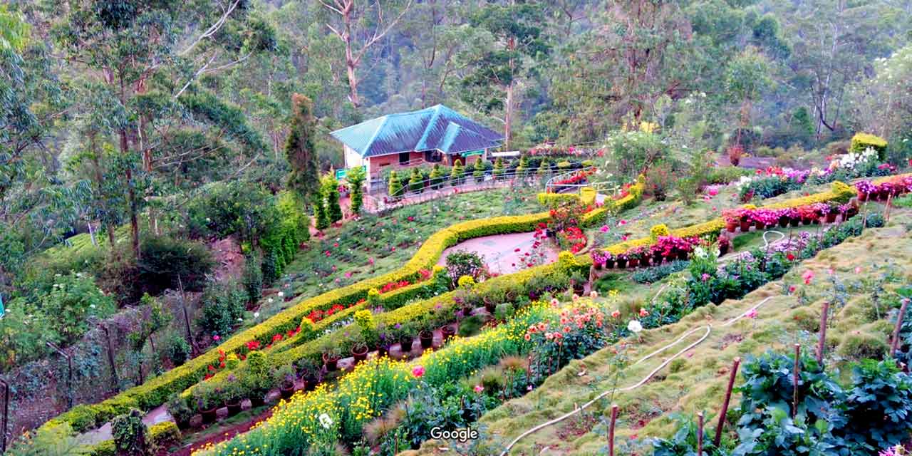 Floriculture Centre Munnar (Timings, History, Entry Fee, Images & Information) 