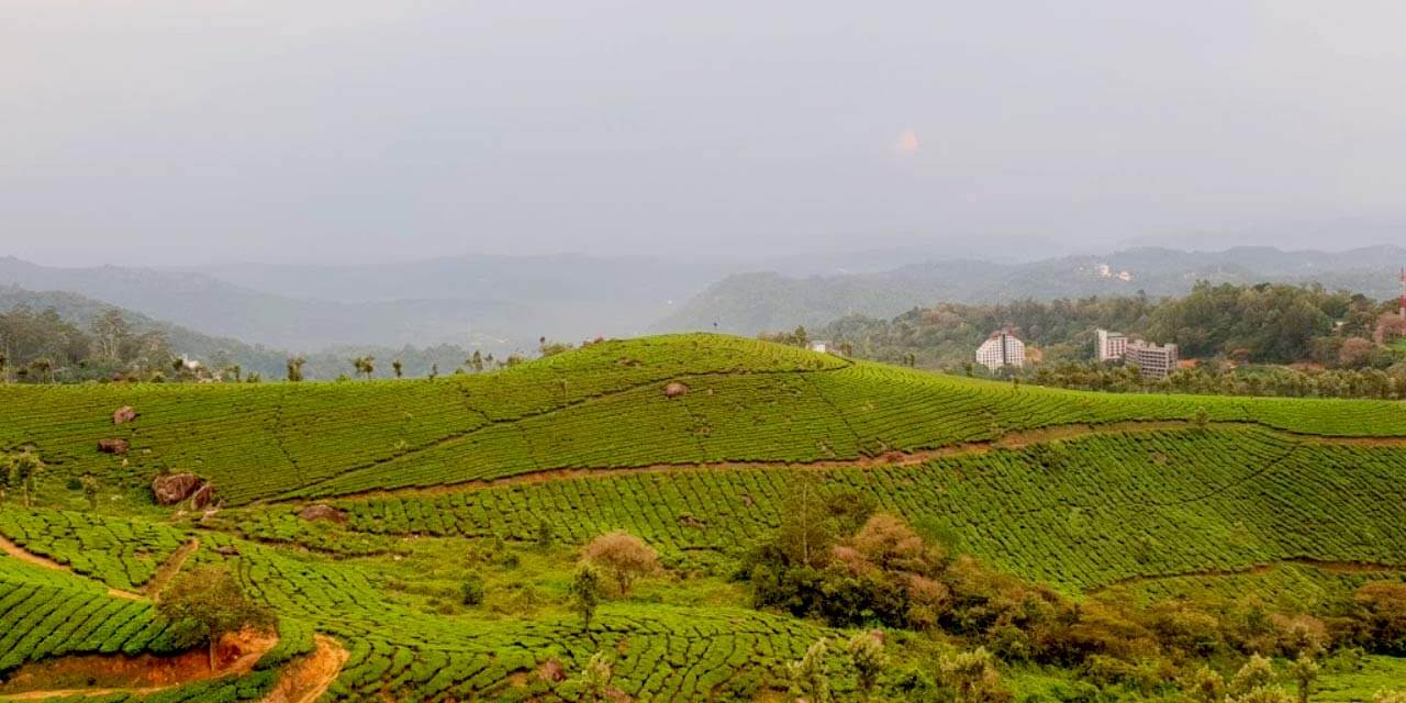 Places to Visit The Pothamedu Viewpoint, Munnar