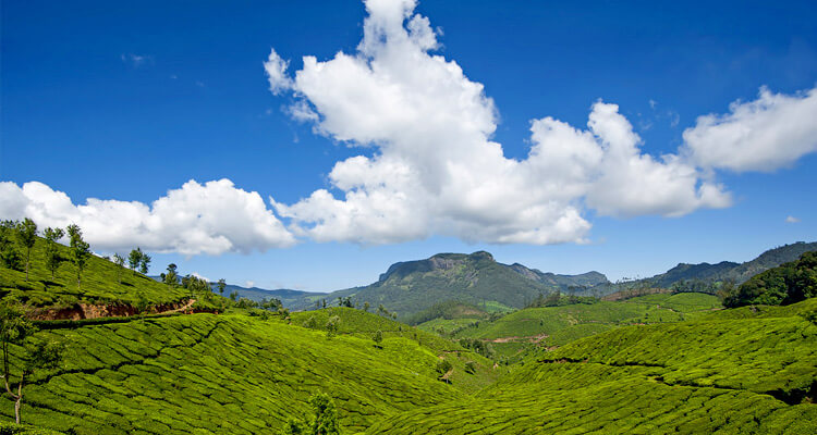 Top Station Munnar (Entry Fee, Timings, Images & Location) - Munnar Tourism