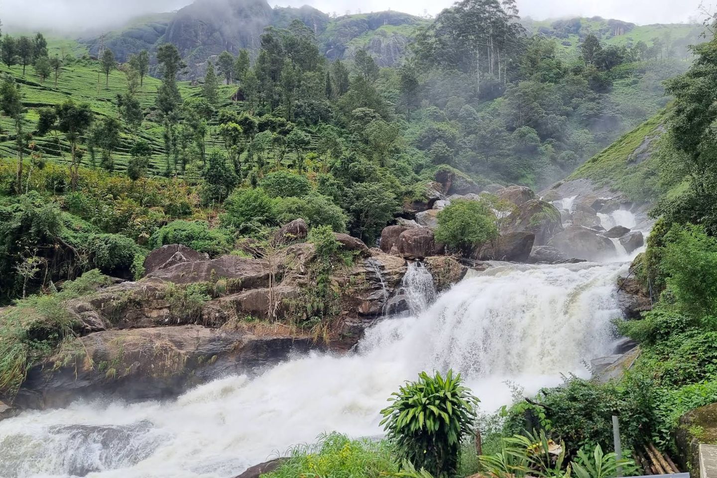 Attukad Waterfalls, Munnar