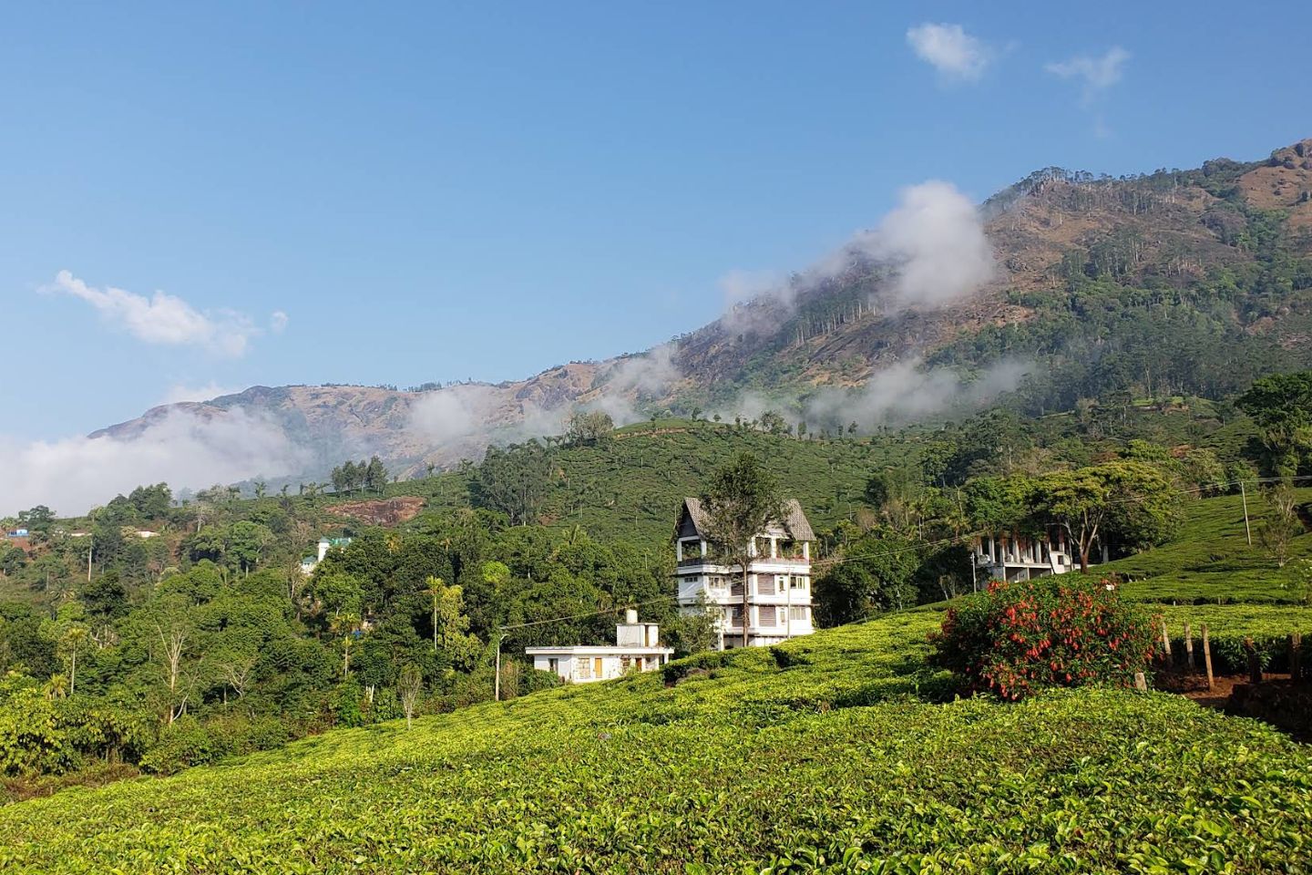Chithirapuram Munnar (Timings, History, Entry Fee, Images & Information) 