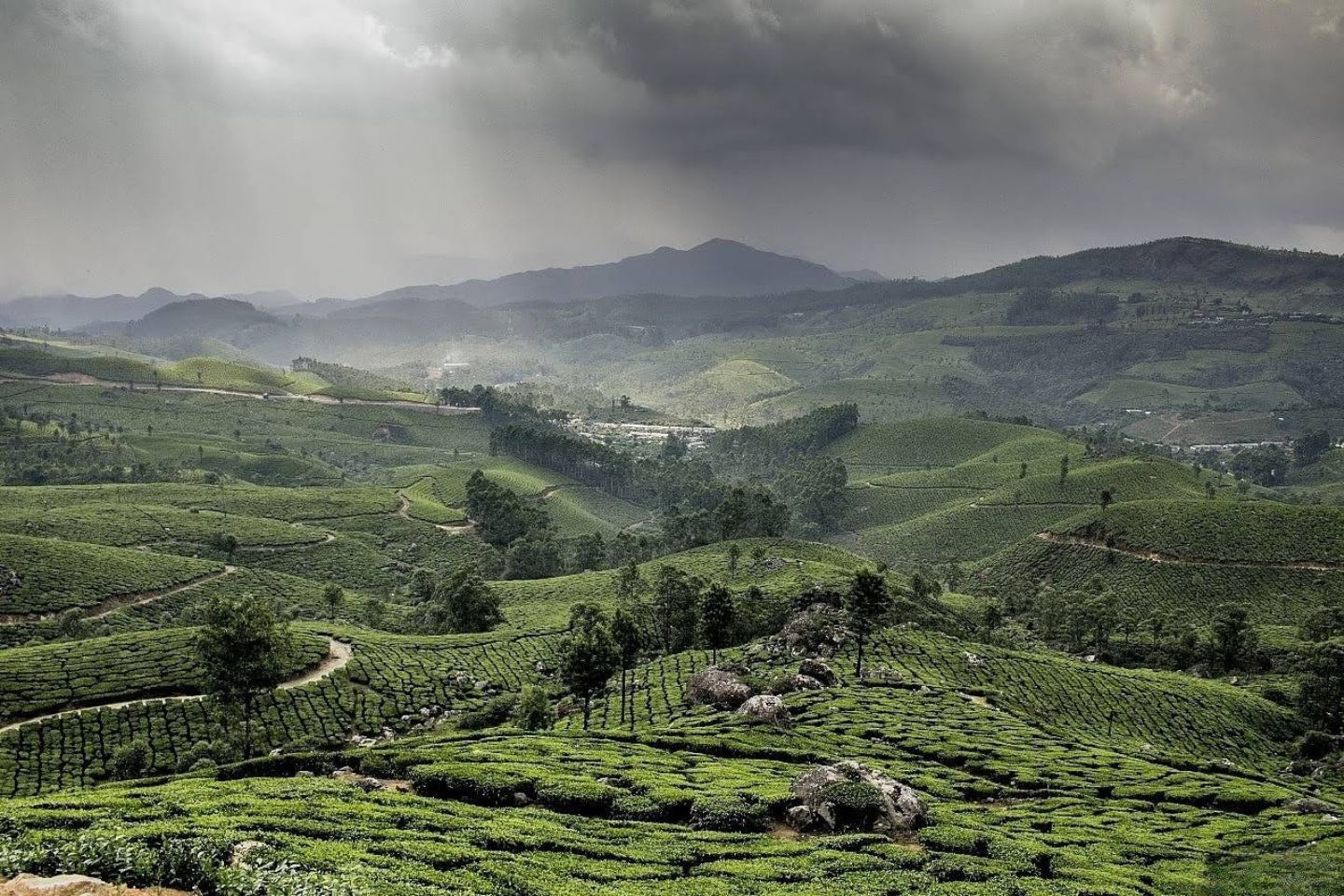 Lockhart Gap, Munnar