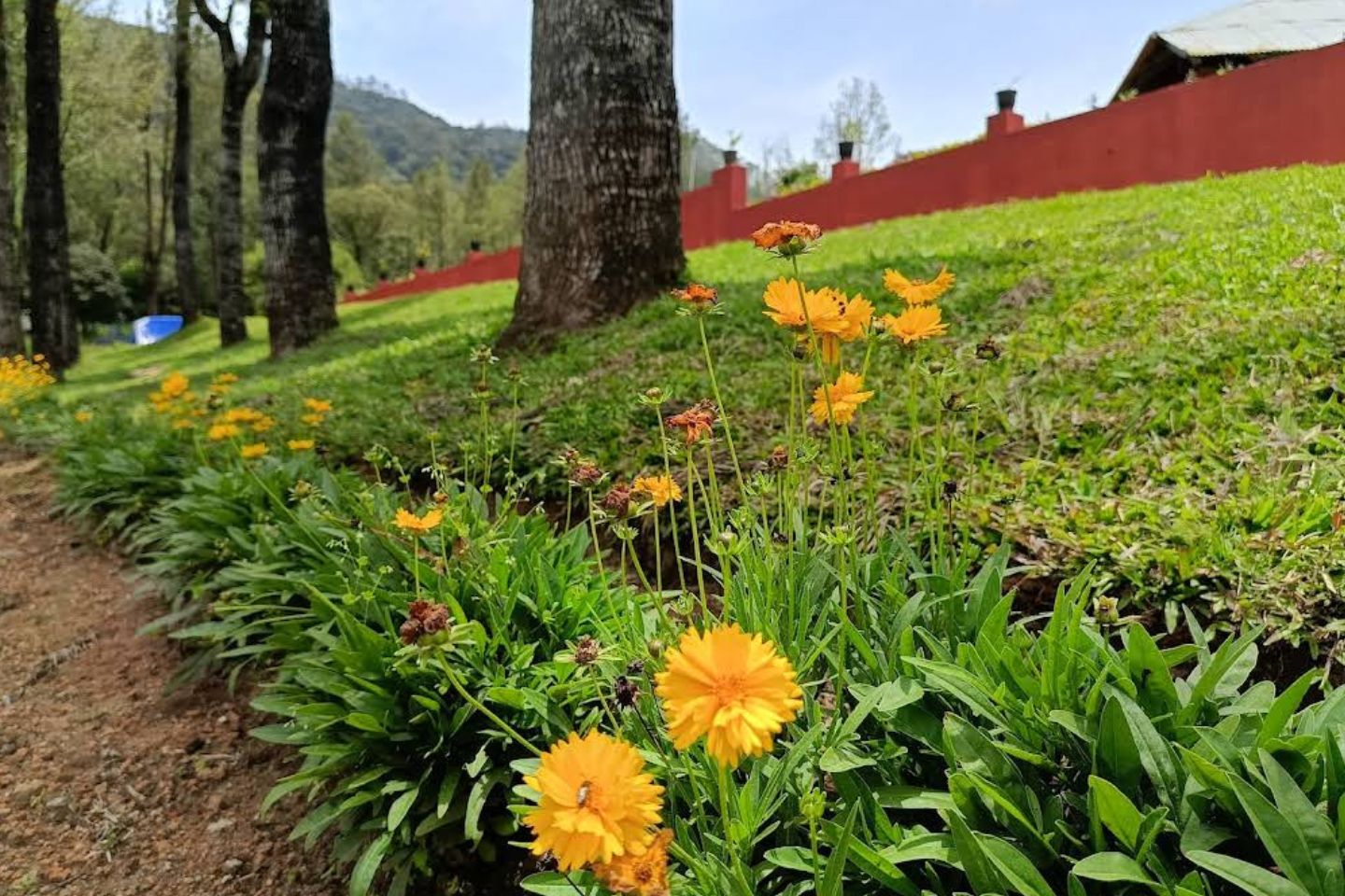 Mattupetty Indo-Swiss Farm Munnar (Timings, History, Entry Fee, Images & Information) 