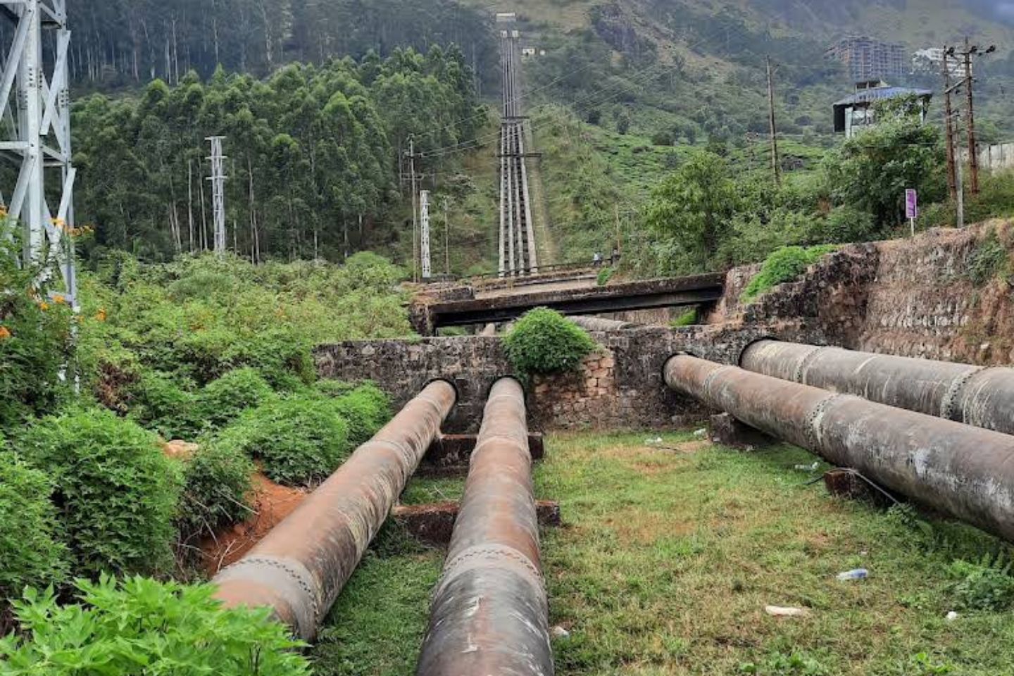 Pallivasal Falls Munnar (Timings, Entry Fee, Images, Best time to visit, Location & Information)