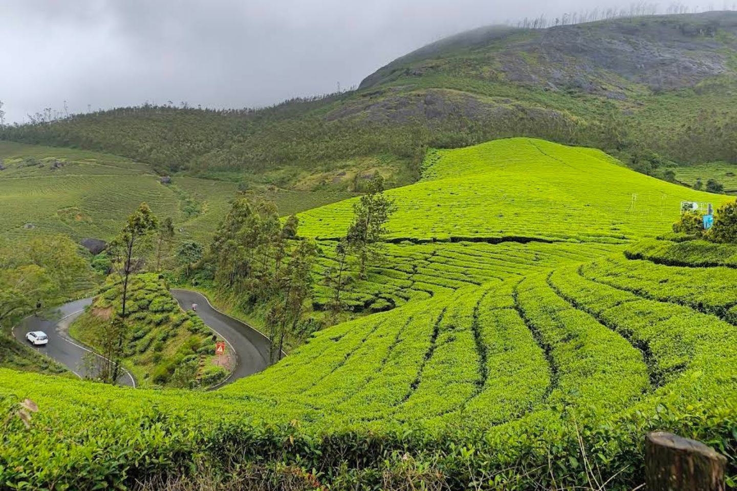 Photo Point, Munnar
