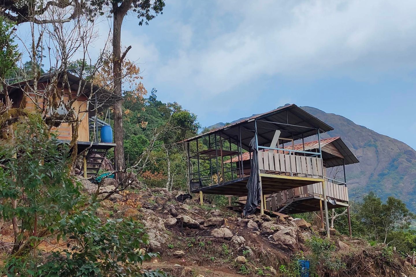 Pothamedu Viewpoint, Munnar