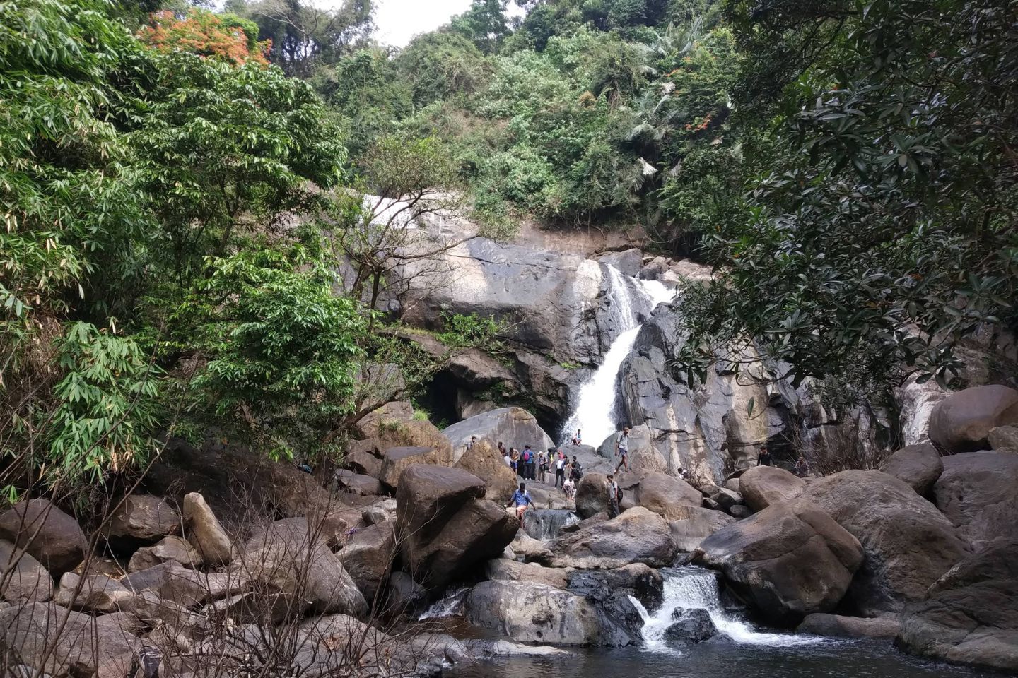 Thommankuthu Falls Munnar (Timings, Entry Fee, Images, Best time to visit, Location & Information)