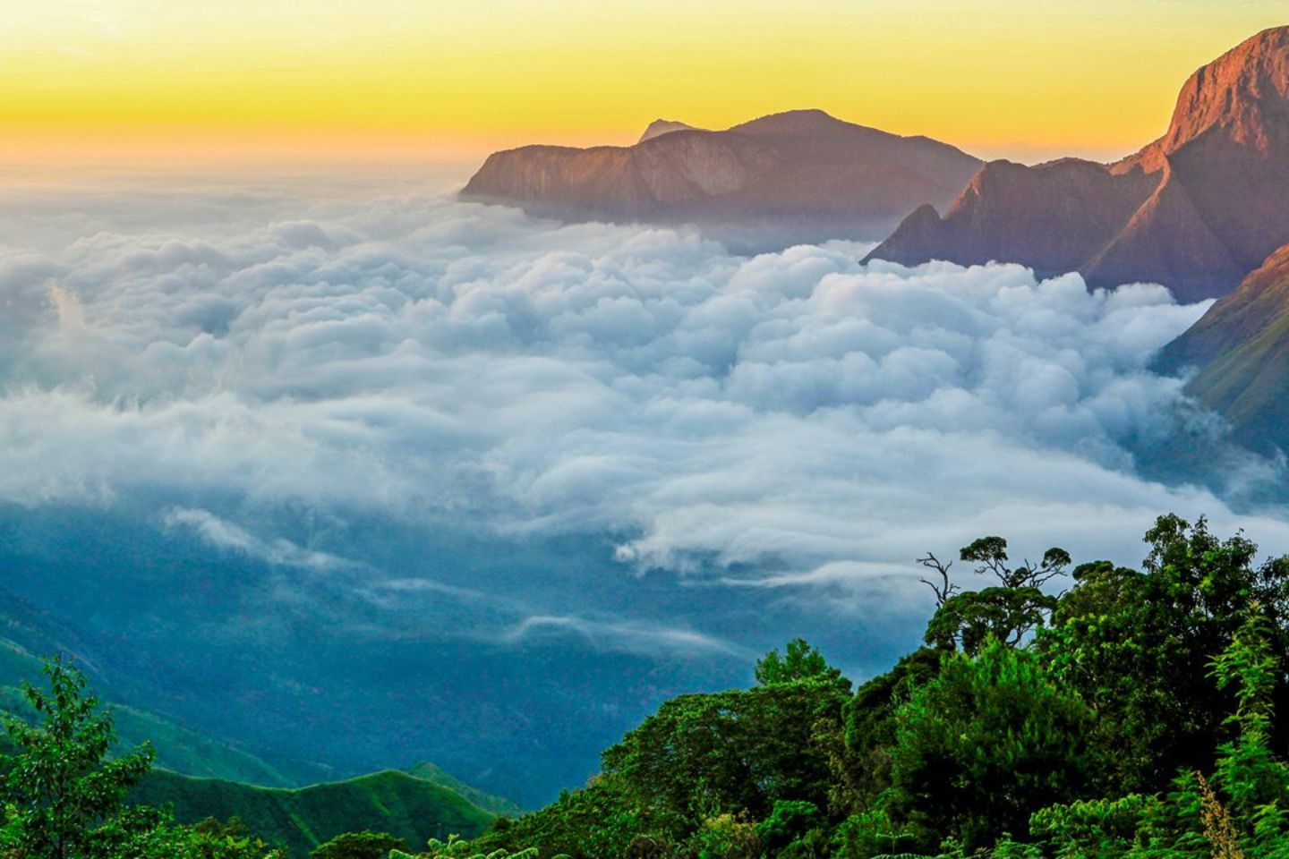 Top Station Munnar